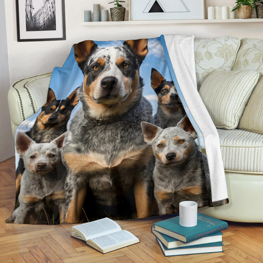 Australian Cattle Dog Family Blanket, Australian Cattle Dog Blanket, Australian Cattle Dog Throw Blanket, Australian Cattle Dog