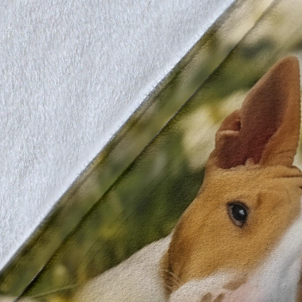 Bull Terrier Family Blanket, Bull Terrier Blanket, Bull Terrier Throw Blanket, Bull Terrier, Bull Terrier Gift