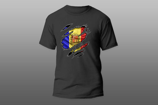 Flag Andorra patriot love T-shirt - Top Content | POD Collection | Free Shipping