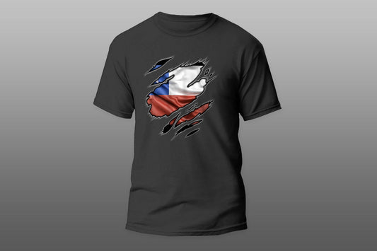 Flag Chile patriot love T-shirt - Top Content | POD Collection | Free Shipping