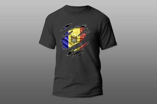 Flag Moldova patriot love T-shirt - Top Content | POD Collection | Free Shipping