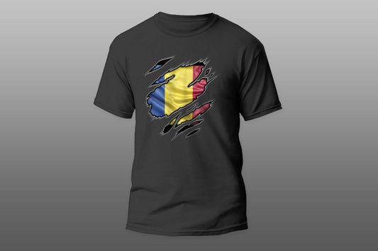 Flag Romania patriot love T-shirt - Top Content | POD Collection | Free Shipping