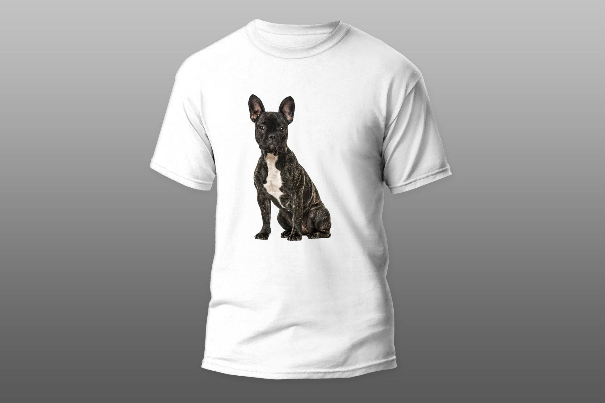 French bulldog sitting puppy T-shirt - Top Content | POD Collection | Free Shipping