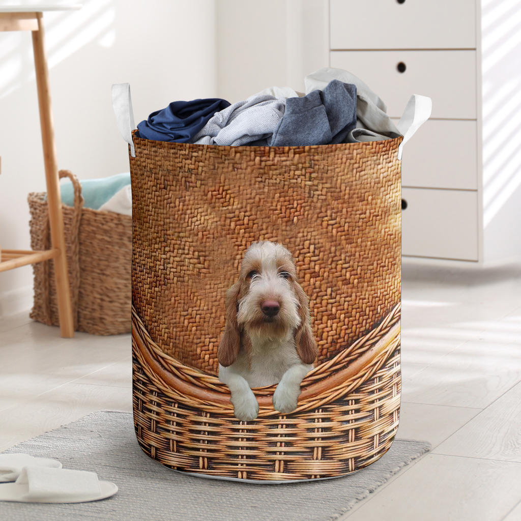 Grand Basset Griffon Vendeen - Rattan - LB