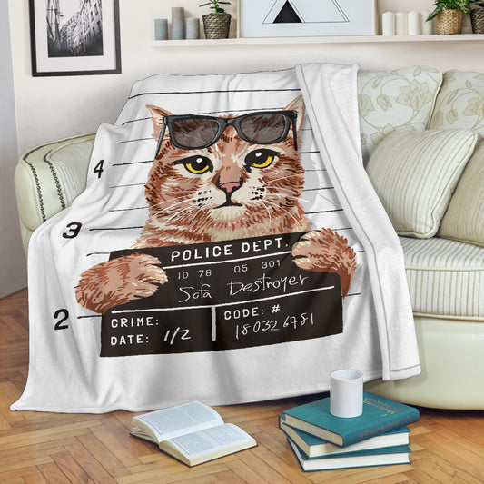 Guilty Cat Blanket, Busted Cat Blanket, Sofa Destroyer Cat Blanket