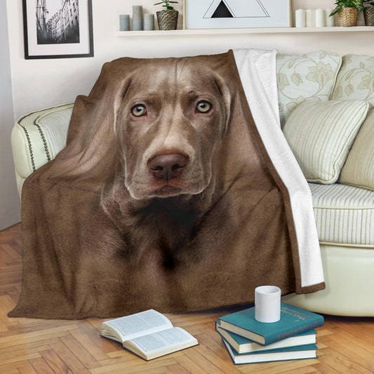 Weimaraner Face Hair Blanket