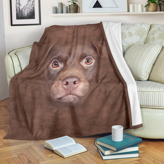 Patterdale Terrier Face Hair Blanket