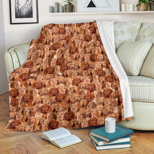 Wirehaired Vizsla Full Face Blanket