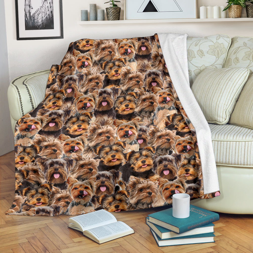 Yorkshire Terrier - Blanket - 1366