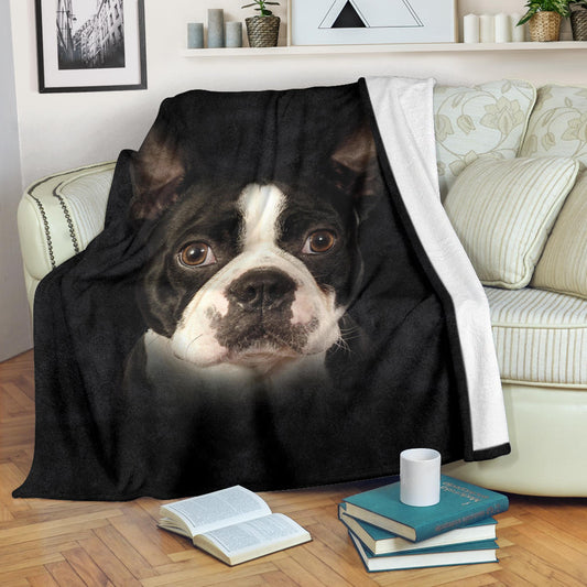 Boston Terrier Face Hair Blanket