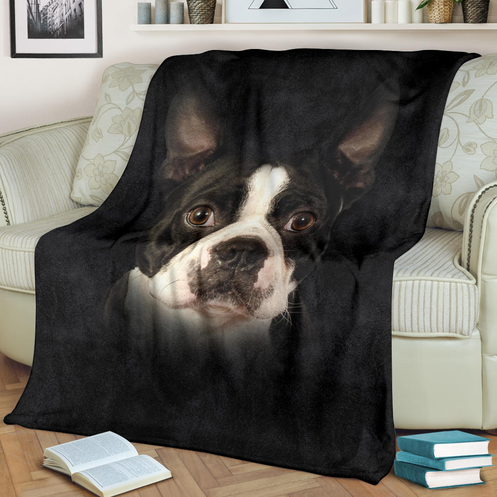 Boston Terrier Face Hair Blanket