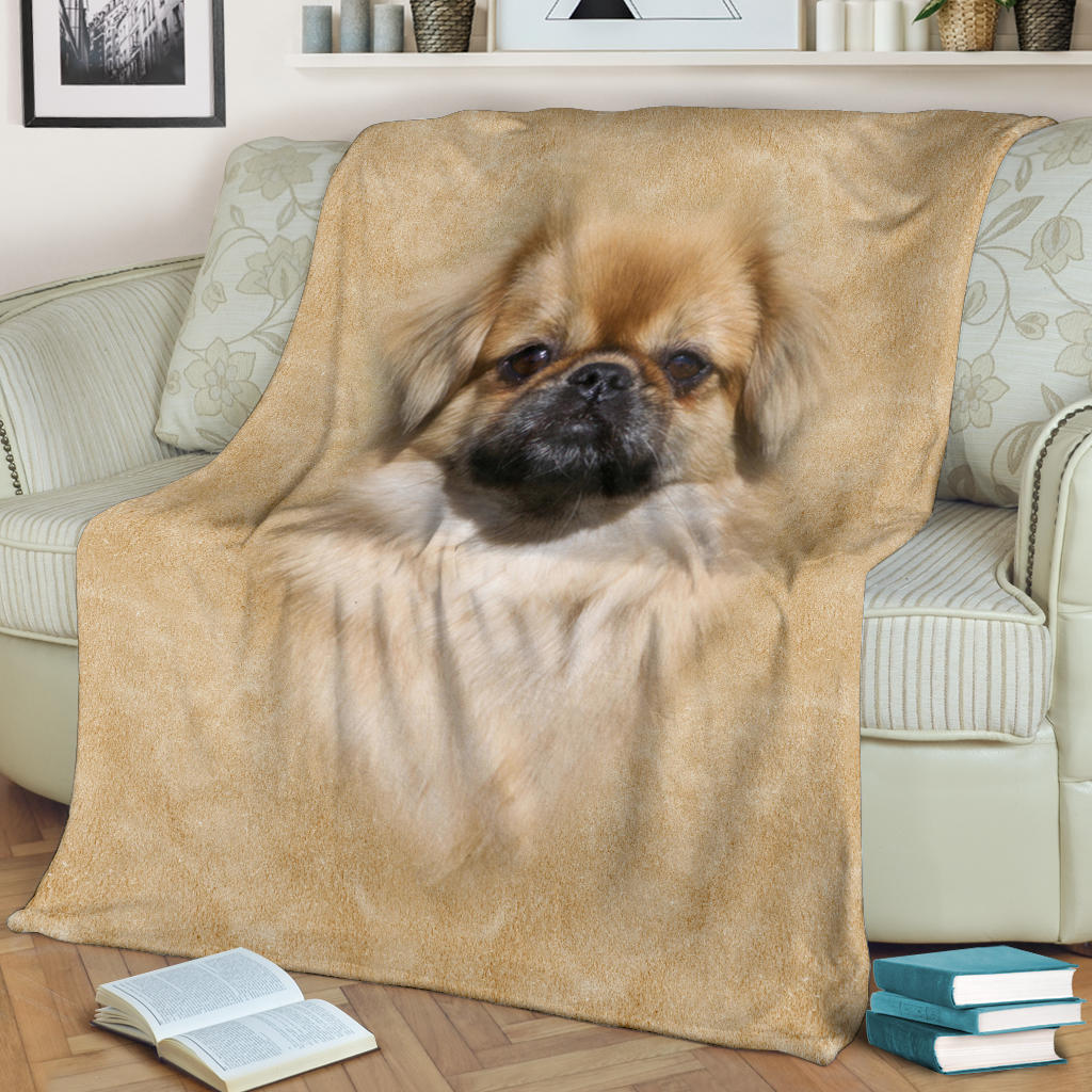 Tibetan Spaniel Face Hair Blanket