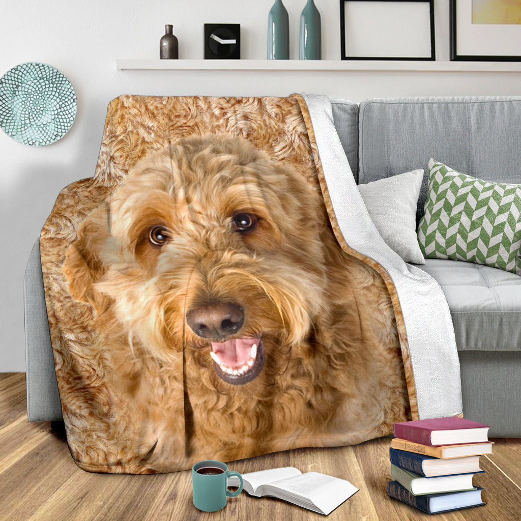 Goldendoodle - - 1306 Blanket