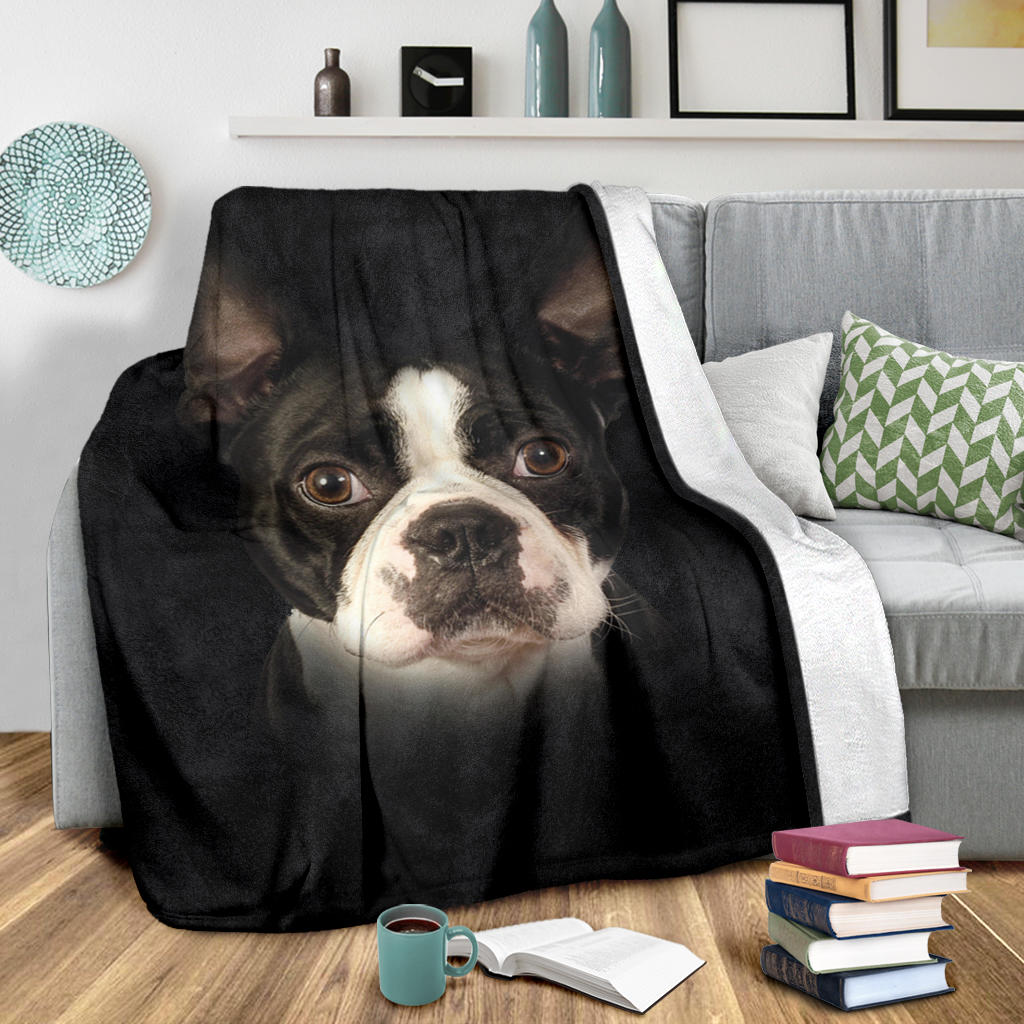 Boston Terrier Face Hair Blanket