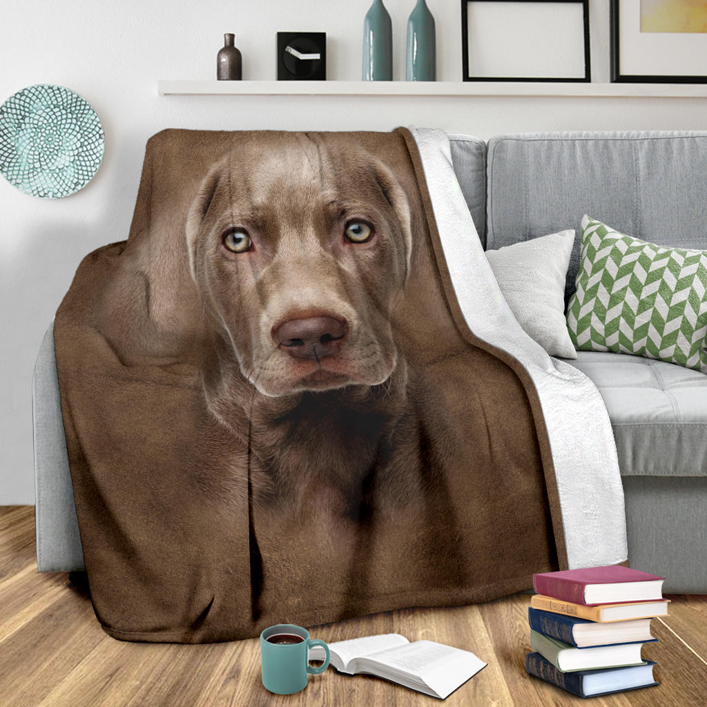 Weimaraner Face Hair Blanket