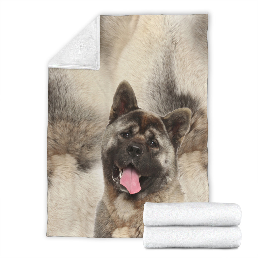 Akita - - 1278 Blanket