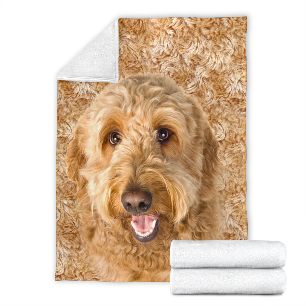 Goldendoodle - - 1306 Blanket