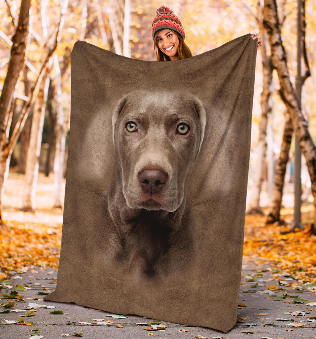 Weimaraner Face Hair Blanket