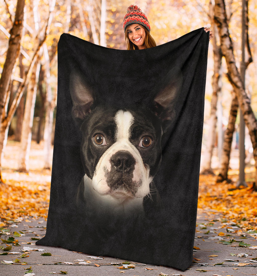 Boston Terrier Face Hair Blanket