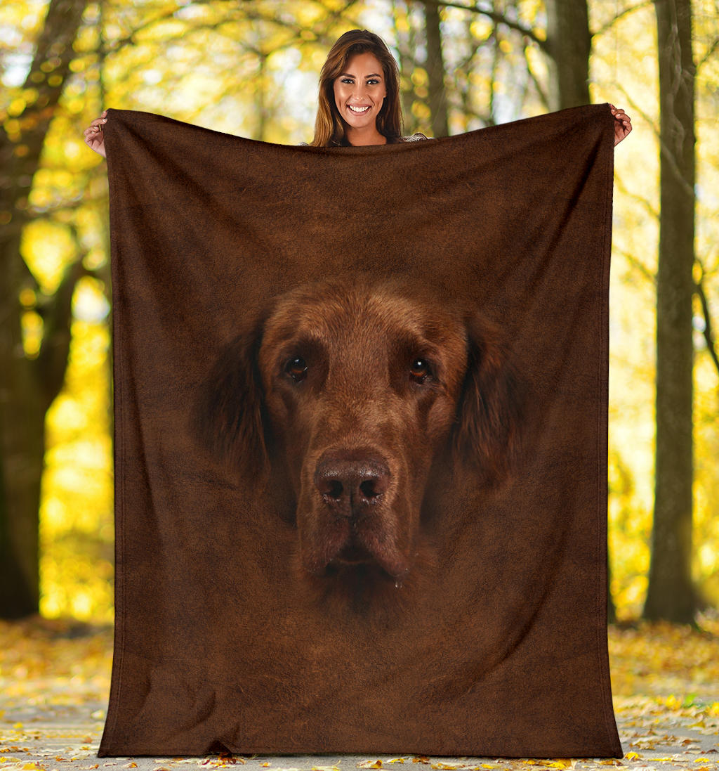 Flat Coated Retriever Face Hair Blanket