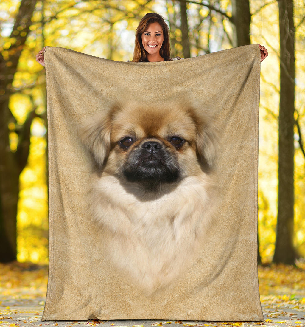 Tibetan Spaniel Face Hair Blanket