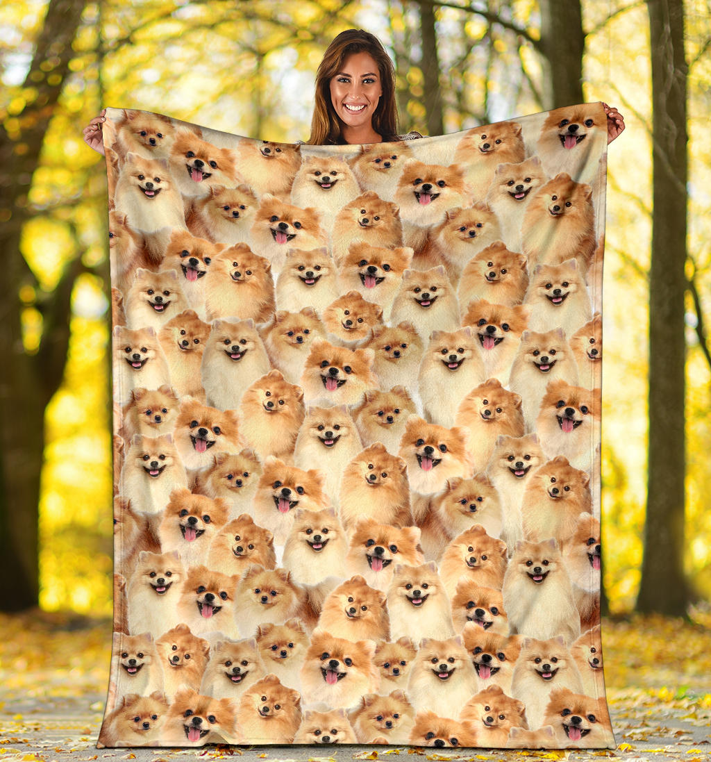 Pomeranian Full Face Blanket