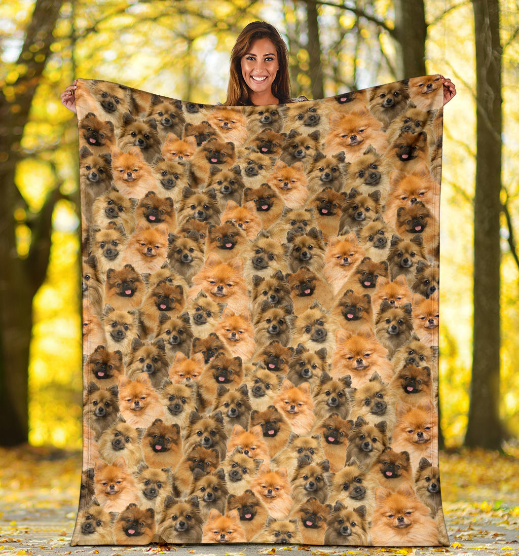 German Spitz Full Face Blanket