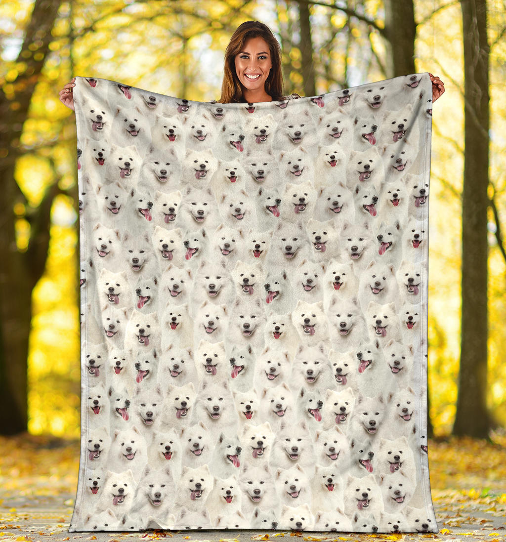 Samoyed Full Face Blanket