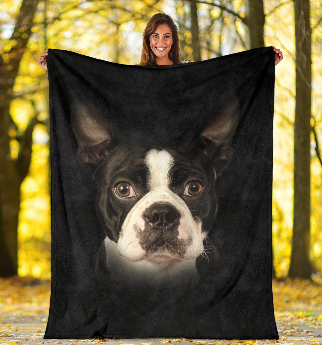 Boston Terrier Face Hair Blanket