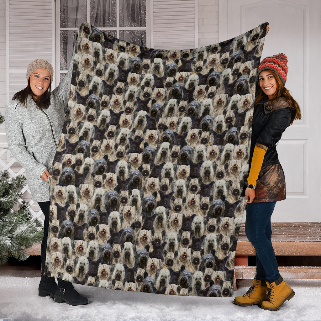 Skye Terrier Full Face Blanket