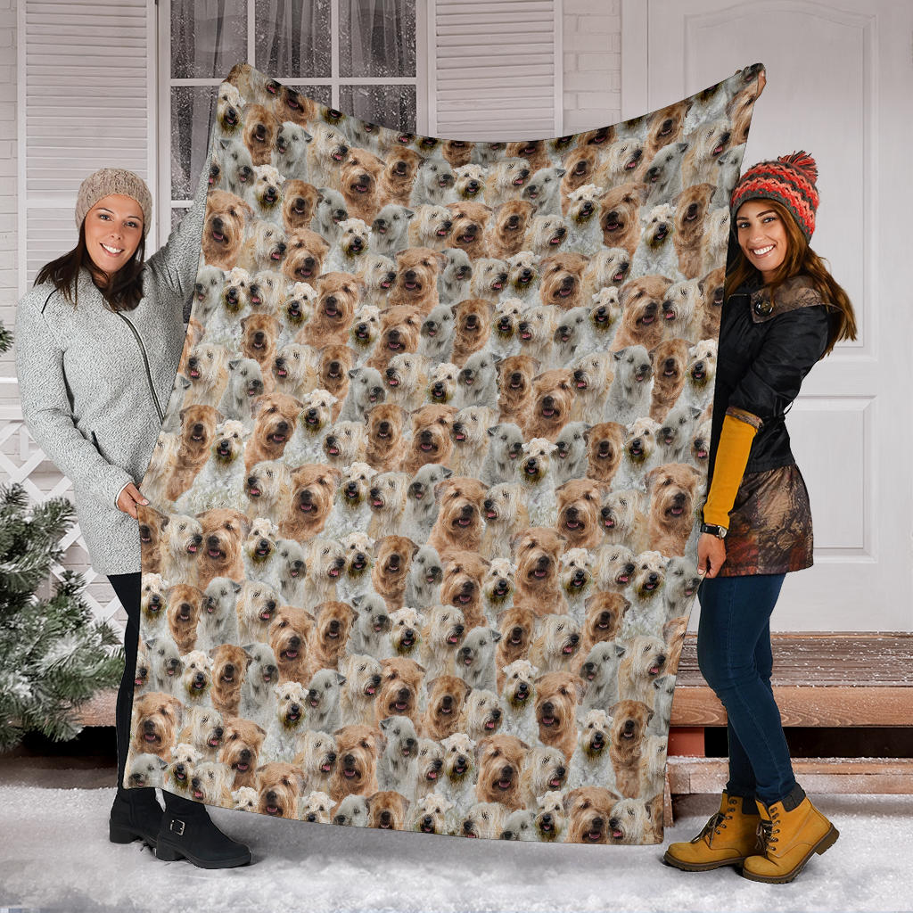 Soft-coated Wheaten Terrier Full Face Blanket