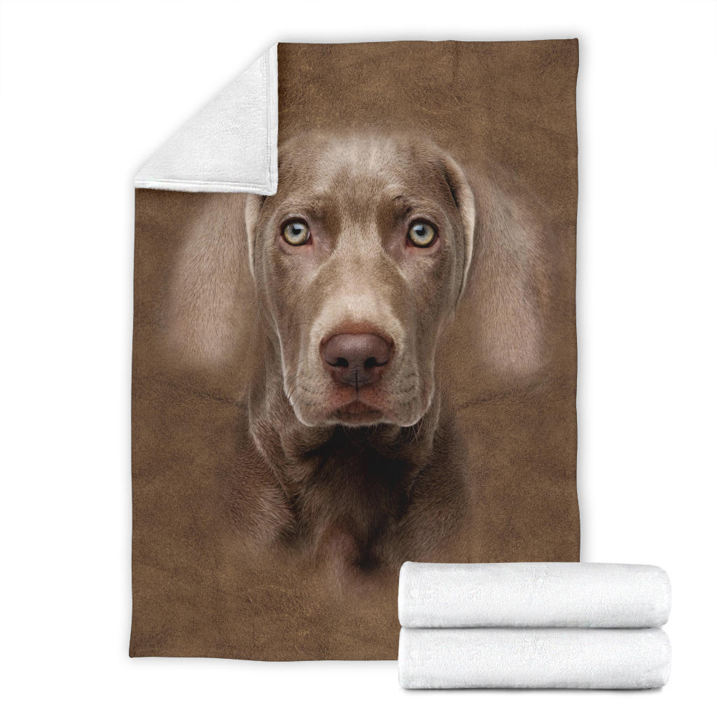 Weimaraner Face Hair Blanket