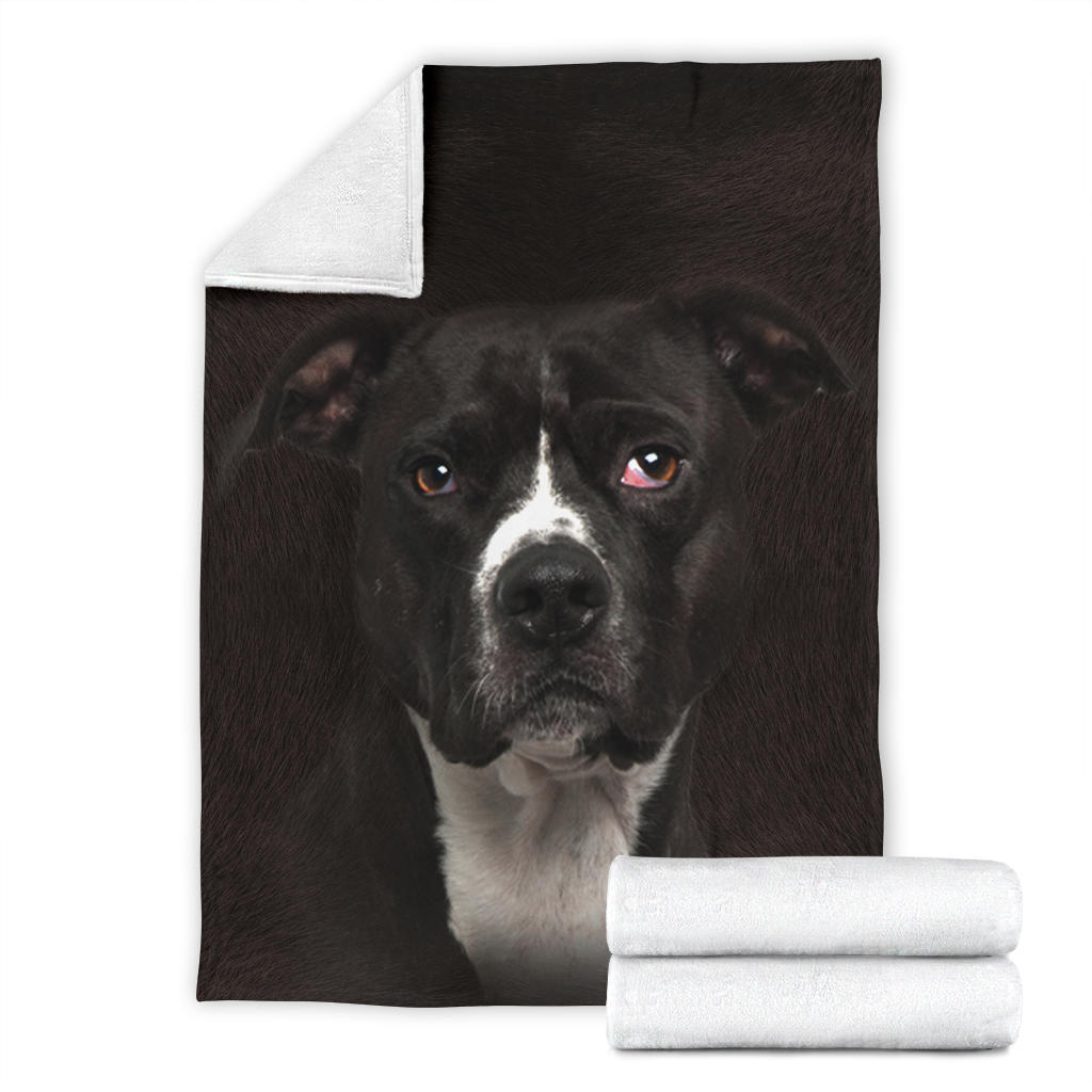 American Pitbull Terrier 2 Face Hair Blanket